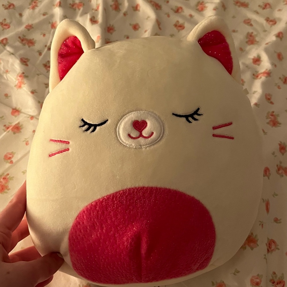 cat heart squishmallow